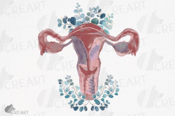 A Watercolor Uterus Graphic for Client Print Projects